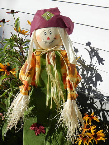 Scarecrow, Decoration, Doll, autumn, fall, seasonal, holiday, halloween, harvest, thanksgiving, rural