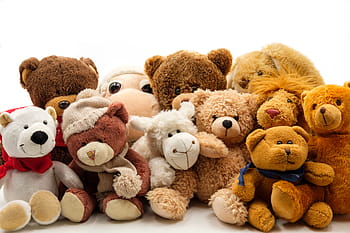 갈색, 곰, 봉제 인, 장난감 부지, 화이트, 배경, 부드러운 장난감, 동물 인형, 테디 베어, 장난감, 부드러운