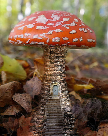 doorway, entrance, mushroom, house, tiny, stone, cottage, forest, woods, fairy, home
