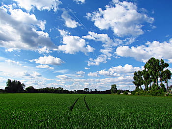 nebe, mraky, Příroda, krajina, modrá obloha