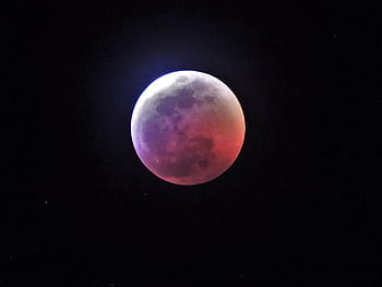 lunar, eclipse, moon, blood moon, wolf moon, luna eclipse, full moon, astronomy, astrophotography, space, solar system