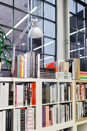 訪問、 書店、 本、 知識、 図書館、 本棚、 棚、 屋内、 教育、 文学、 人なし
