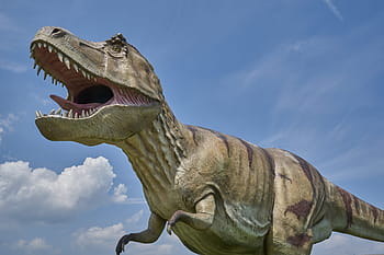 tyrannosaurus rex statue, dinosauro, preistorico, carnivori, tempi preistorici, t rex, tirannosauro Rex, dino, dinosauri carnivori, pericoloso, replica