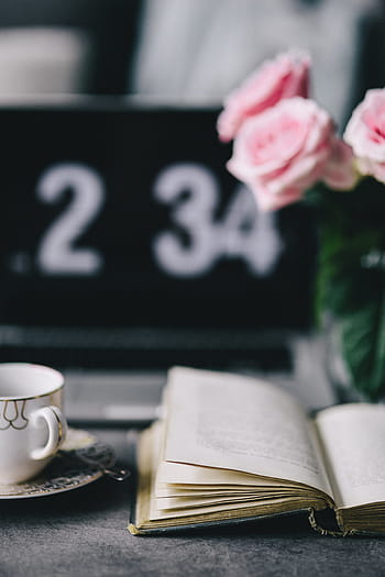encantador, rosas, libro, café, rosa, interior, descanso, relajarse, elementos esenciales, lectura, tiempo