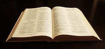 fotografování, otevřeno, rezervovat, Černá, stůl, bible, text, literatura, křesťanství, starý, studie