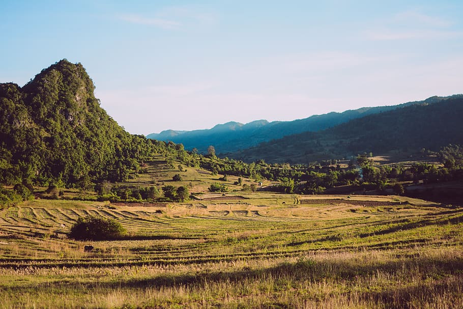 myanmar, burma, shan state, kalaw, hiking, south east asia, travel, rural farming