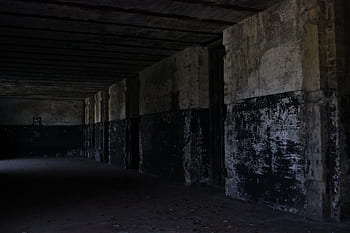 abandoned, fortification, creepy, concrete, bunker, pillbox, historic, defense, rotting, military, war
