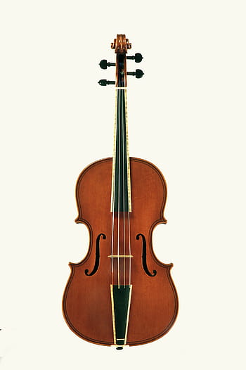 violin, stringed instruments, musical instrument, classical music, fiddle, viola, cello, bowed string instrument, acoustic violin, violin strings, violin body