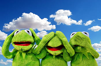 kermit, frog wallpaper, not hear, not see, do not speak, funny, frog, cute, fun, green, plush