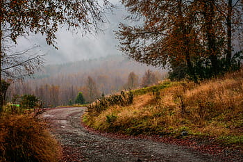 vuoto, strada, foresta, giorno, montagna, montanaro, nube, cielo, vertice, cresta, paesaggio
