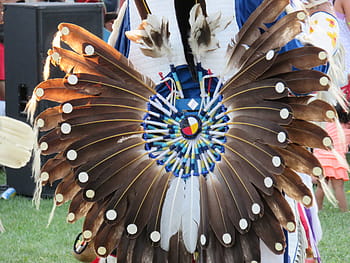 osoba, nošení, kostým z peří, první národ, bojovník, Pírko, slavnostní, indický, chippewa, anishinaabe, rodák