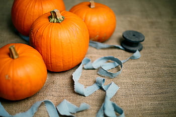 orange, winter, squash, vegetable, pumpkin, halloween, cloth