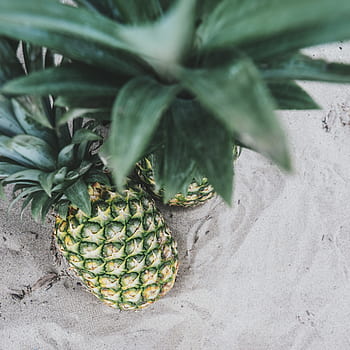 pineapple, dessert, appetizer, fruit, juice, crop, sand
