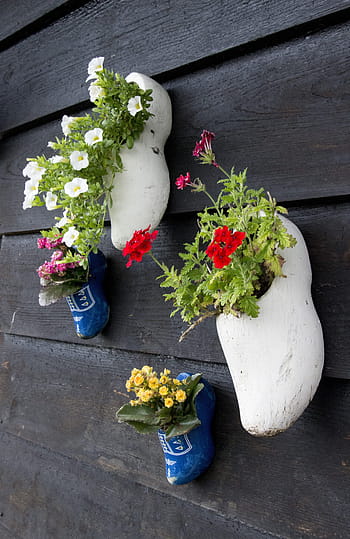 holland, shoes, flowerpot, wall, netherlands, garden shoe, clog, wooden shoes, dutch, popular, traditionally
