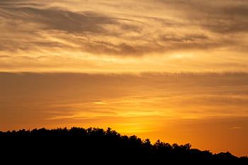orange, solnedgang, træer, varm, skumring, silhuet, Skov, landskab, natur, udendørs, klima