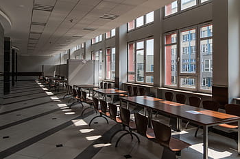 the university, school, corridor, the interior of the, kielce, polytechnic university which, buildings, architecture, building and construction, office buildings, building