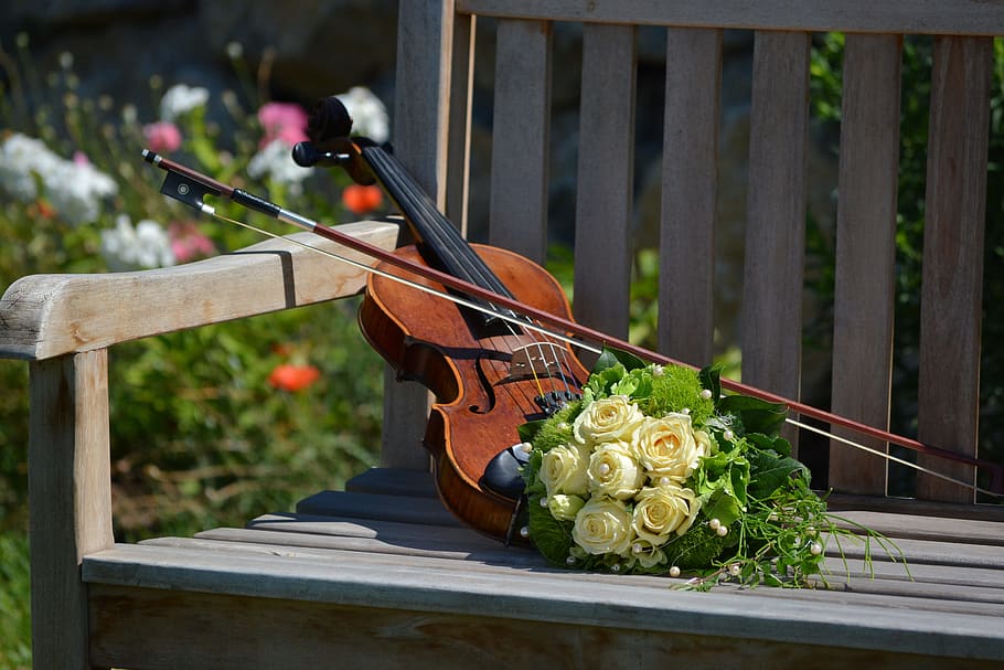 Marrone, violino, giallo, rosa, mazzo, bouquet da sposa
