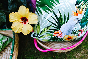 exótico, decorações para festas de jardim, jardim exótico, festa de jardim, decorações, dia, verão, jardim, flora, diversão, ao ar livre