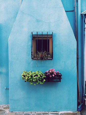 flowers, basket, pots, window, bars, blue, wall, house