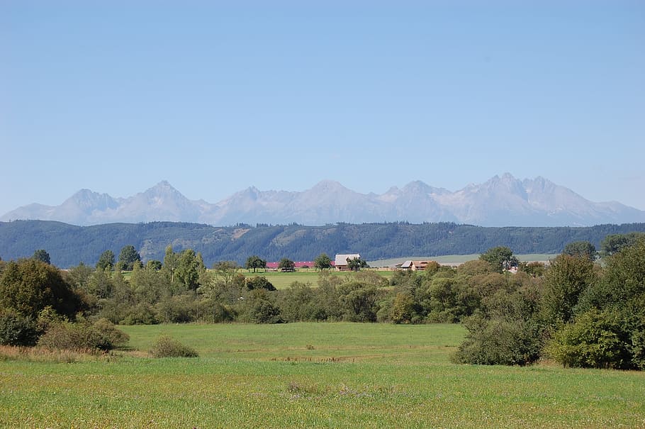 hora, mraky, krajina, hory, Pohled, modrý, horní, tatra, Česká republika, nebe, louka