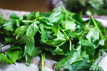 different, kinds, fresh, herbs, healthy, food, leaf, freshness, vegetable, green Color, organic