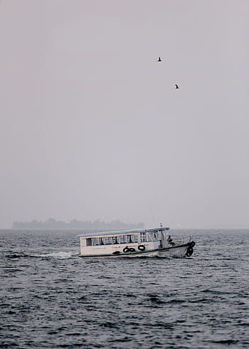 bianca, barca, corpo, acqua, nebbia, natura, mare, oceano, cielo, uccelli, nave nautica