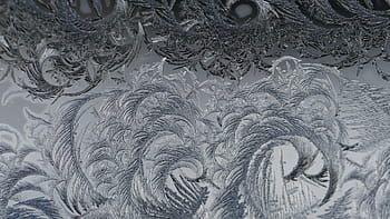 gray floral decor, abstract, art, decoration, design, graphic, illustration, paper, pattern, retro, sketch