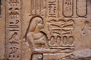egyptian god decor, egypt, edfu, temple, engraving, hieroglyphs, divinity, offering, relief, archaeology, antique