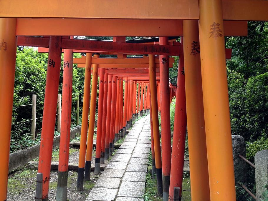 Japonsko, Tokio, ueno, svatyně, torii, nezu svatyně, budova