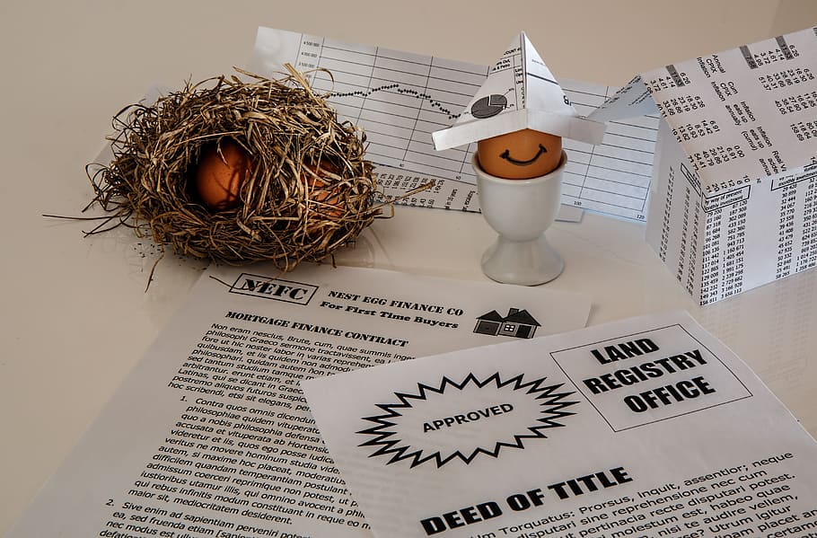 white, printed, paper, egg lamp decor, savings, real estate, mortgage bond, mortgage contract, finance documents, investment, save