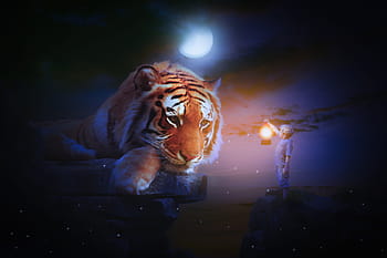 brown, tiger, lying, rock mountain, watching, boy, holding, lamp, night painting, fantasy, manipulation