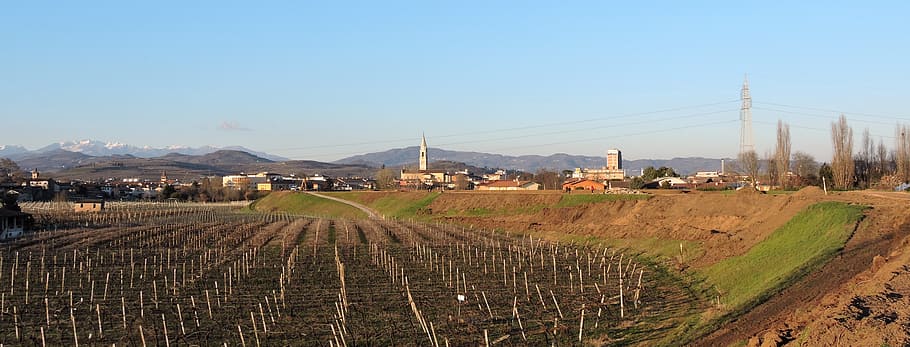 country, san bonifacio, italy, campanile, skyscraper, field, levee, landscape, vineyard, hill