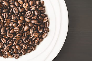 penuh, Putih, Mangkuk, Biji Kopi, kacang, busur, coklat, kafe, kafein, kopi, minuman