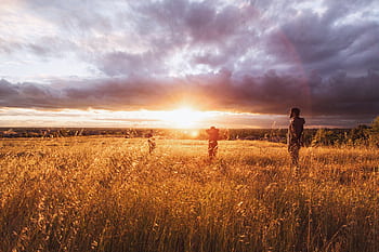 tramonto, i raggi del sole, persone, i campi, Grano, piante, cielo, nuvole, paesaggio, natura, rurale