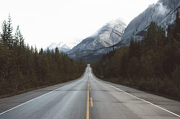 highway road, surrounded, pine trees, snow mountains, highway, road, brown, gray, mountains, roads, rocks