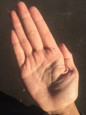 Palm, Hand, Finger, Bleaching, palm reading, young, japanese, people, body, parts, health