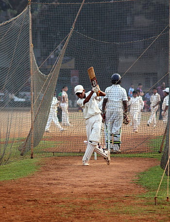 cricket, batsman, ball game, india, competition, player, field, match, cricketer, tournament, cricket game