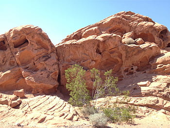 brown stone mountain, rock, formation, green, shrub, shown, daytime, rocks, boulders, desert, sunshine