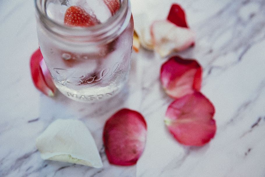 flower, red, petal, bloom, garden, plant, nature, autumn, fall, rose, glass