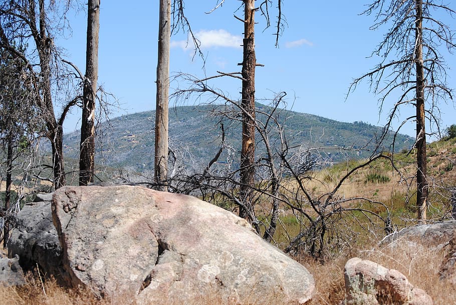 San Diego, la jolla, Kalifornie, krajina, cuyamaca