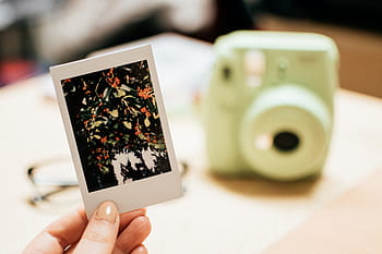polaroid, zdjęcie, ścieśniać, fujifilm, aparat fotograficzny, natychmiastowy, Zielony, kobieta, ludzie, trzymać, dłoń