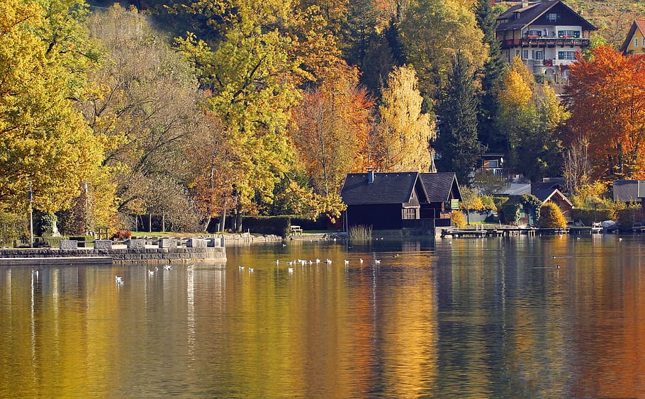 Černá, dřevěný, Dům, tělo, voda, stromy, během dne, krajina, podzim, barvitý, Příroda