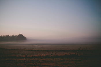 fog, haze, hazy, fields, grass, country, trees, farm, oudoors, bushes