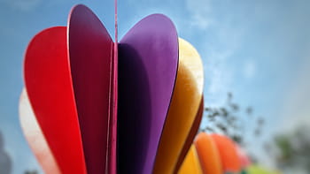 Ballon, Circus, Rainbow, Decoration, celebrate, festive, colorful, party, multicolor, holidays, colour