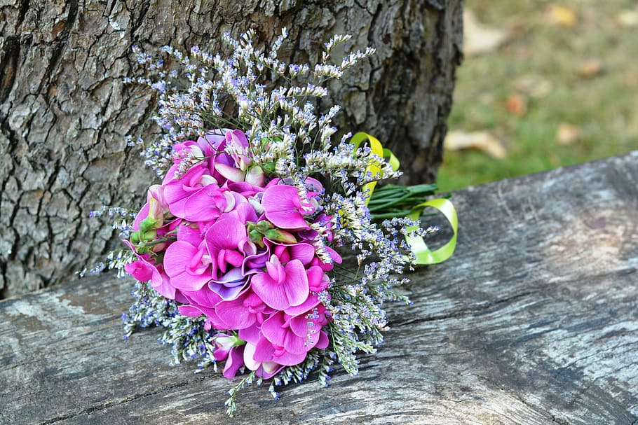 kytice, malá parta, sladký hrášek vonící, lathyrus odoratus, růžový, Příroda, květ, romantika, dekorace, milovat, okvětní lístek