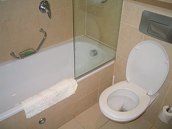 bílý, keramický, záchodová mísa, vana, hotel, toaleta, Izrael, design, Domov, výzdoba, kámen