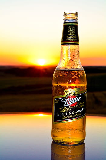 bottiglia di birra miller, birra, tramonto, sol, orizzonte, natura, cielo, paesaggio, bottiglia, vetro - materiale, bicchiere