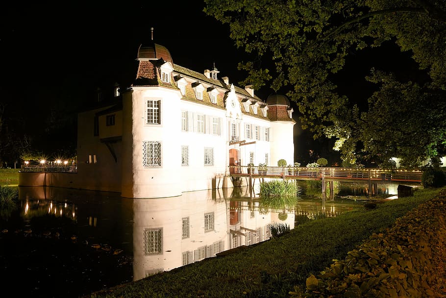 bottmingen, hrad, švýcarsko, bottmingen, hrad, Basel, noc, architektura, strom, exteriér budovy, nikdo, svítí