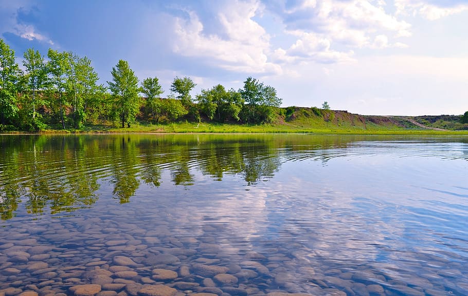 body, water, tress, green, grass, sky, rocks, river, ripples, trees, landscape