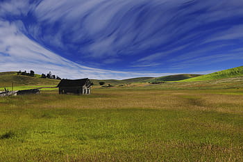 brown, wooden, house, green, grass field, blue, sky, daytime, nature, landscape, grass